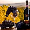 Bất chấp khủng hoảng kinh tế, rượu vang Italy vẫn bội thu