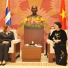 Quốc hội Việt Nam-Cuba thúc đẩy quan hệ hữu nghị và hợp tác