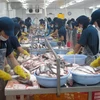 Tọa đàm về xuất khẩu bền vững cá da trơn của Việt Nam vào EU 