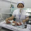 Chăm sóc nuôi dưỡng trẻ sơ sinh thiếu tháng tại Bệnh viện Đa khoa tỉnh Quảng Trị. (Ảnh: Hồ Cầu/TTXVN)