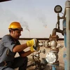 Một nhân viên điều chỉnh van của một ống dẫn dầu tại một nhà máy lọc dầu. (Nguồn: Reuters)