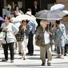 Số người nhập viện vì nắng nóng tại Nhật Bản tăng cao kỷ lục