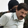 Ông trùm El Chapo. (Nguồn: AFP/TTXVN)
