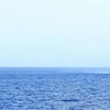 Một máy bay của Hải quân Italy đang tìm kiếm người mất tích trong vụ chìm xuồng hôm 11/8. (Nguồn: ANSA)