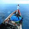 Ngư dân huyện Lý Sơn đánh bắt hải sản trên vùng biển tỉnh Quảng Ngãi. (Ảnh minh họa. Lâm Khánh/TTXVN)