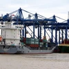 Xuất nhập khẩu hàng hóa tại cảng Cát Lái, Thành phố Hồ Chí Minh. (Ảnh minh họa. Hoàng Hải/TTXVN)