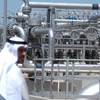 Một cơ sở lọc dầu của Kuwait Petroleum. (Nguồn: AFP)