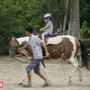 Câu lạc bộ ngựa Hà Nội, nơi diễn ra các buổi trị liệu dành cho trẻ khuyết tật và trẻ mắc chứng tự kỷ bằng phương pháp cưỡi ngựa. (Ảnh: Công Đạt)