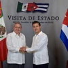Chủ tịch Cuba Raul Castro (trái) có cuộc hội đàm với Tổng thống Mexico Enrique Pena Nieto (phải). (Nguồn: THX/TTXVN)