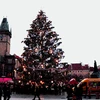 “Hoa hậu thông Giáng sinh” năm nay ở quảng trường Staromestske, Prague. (Ảnh: Trần Quang Vinh/Vietnam+)