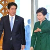 Tổng thống Hàn Quốc Park Geun Hye (phải) trong một cuộc gặp với Thủ tướng Nhật Bản Shinzo Abe tại thủ đô Tokyo. (Nguồn: Kyodo/TTXVN)