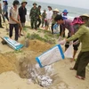 Ngư dân Quảng Bình chôn lấp cá chết bị dạt vào bờ. (Ảnh: Vô Dung/TTXVN)