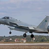 Máy bay F-15. (Nguồn: farsnews.com)