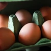 Trứng gà bày bán ở siêu thị ở London, Anh ngày 10/8. (Nguồn: EPA/TTXVN)
