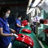 Các linh kiện nhựa tại nhà máy Công ty cổ phần công nghiệp hỗ trợ Minh Nguyên (Khu công nghệ cao Thành phố Hồ Chí Minh). (Ảnh: An Hiếu/TTXVN)