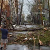 Cây cối bị quật đổ sau bão Maria tại San Juan, Puerto Rico ngày 20/9. (Nguồn: AFP/TTXVN)