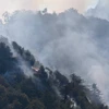 Khói bốc lên từ đám cháy tại rừng quốc gia Angeles, đông bắc Los Angeles, California, Mỹ ngày 17/10. (Nguồn: AFP/TTXVN(