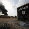 Cờ của tổ chức Nhà nước Hồi giáo (IS) tự xưng tại al-Qaim tỉnh Anbar, Syria, gần biên giới Syria ngày 3/11. (Nguồn: AFP/TTXVN)