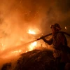 Nhân viên cứu hỏa dập lửa cháy rừng tại Mỹ. (Nguồn: THX/TTXVN)