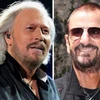 Ringo Starr (phải) và Barry Gibb. (Nguồn: Getty)