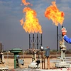 Cơ sở lọc dầu Bin Omar tại Basra, Iraq. (Nguồn: AFP/TTXVN)