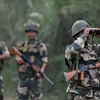 Binh sỹ Ấn Độ tuần tra tại khu vực R.S Pora, tây nam Jammu ở biên giới Ấn Độ-Pakistan. (Nguồn: AFP/TTXVN)