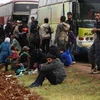 Xe buýt chở các tay súng nhóm Jaish al-Islam và gia đình rời rời khỏi Đông Ghouta đến miền Bắc Syria. (Nguồn: AFP/TTXVN)