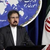 Người phát ngôn Bộ Ngoại giao Iran Bahram Qasemi. (Nguồn: AFP/TTXVN)