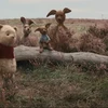 Gấu Pooh và những người bạn sẽ quay trở lại trong siêu phẩm mới