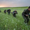 Các tay súng nước ngoài tham gia lực lượng YPG ở miền đông bắc Syria ngày 30/4/2015. (Nguồn: AFP/TTXVN)