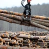  Sản phẩm gỗ mềm tại Công ty Murray Brothers Lumber ở Madawaska, Canada. (Nguồn: THE CANADIAN PRESS/TTXVN)