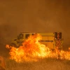 Hình ảnh cháy rừng tại California. (Ảnh: TTXVN phát)