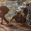 Hàng rào dây thép gai không ngăn nổi người nhập cư cố gắng xâm nhập vào Hungary năm 2015. (Nguồn: dw.com)