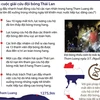 [Infographics] Diễn biến cuộc giải cứu đội bóng Thái Lan mất tích