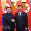 Chủ tịch Trung Quốc Tập Cận Bình hội đàm với nhà lãnh đạo Kim Jong-un. (Nguồn: THX/TTXVN)