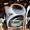 Những chai thuốc diệt cỏ Roundup của Monsanto bày bán tại một cửa hàng ở San Rafael, bang California, Mỹ. (Ảnh: AFP/TTXVN)