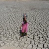 Cảnh hạn hán tại Ahmedabad, Ấn Độ. (Nguồn: AFP/TTXVN)