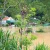 Nhiều bản làng ở huyện Con Cuông, tỉnh Nghệ An bị ngập trong nước do ảnh hưởng của bão số 4. (Ảnh: Bá Hậu/TTXVN)