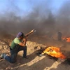 Người biểu tình Palestine xung đột với binh sỹ Israel ở khu vực biên giới Gaza-Israel ngày 24/8. (Ảnh: THX/TTXVN)