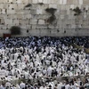 Các tín đồ Do Thái giáo cầu nguyện tại Lễ Vượt qua ở Bức tường phía Tây thành cổ Jerusalem. (Nguồn: AFP/TTXVN)