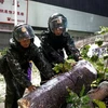 Cảnh sát dọn dẹp cây cối gẫy đổ sau bão Mangkhut ở Trung Sơn, tỉnh Quảng Đông, Trung Quốc ngày 16/9. (Ảnh: AFP/TTXVN)