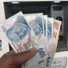 Kiểm tiền lira tại Istanbul, Thổ Nhĩ Kỳ ngày 14/8. (Ảnh: THX/TTXVN)