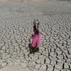 Cảnh hạn hán tại Ahmedabad, Ấn Độ. (Nguồn: AFP/TTXVN)