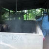 Nhân viên Thú y phun tiêu độc, khử trùng tại chuồng nuôi lợn của người dân. (Ảnh: Phước Ngọc/TTXVN)