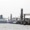 Một cơ sở khai thác dầu trên đảo Khark của Iran ở ngoài khơi vùng Vịnh. (Ảnh: AFP/TTXVN)