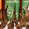 [Video] Trung Quốc cấm dùng sừng tê giác, xương hổ làm thuốc