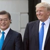 Tổng thống Mỹ Donald Trump và Tổng thống Hàn Quốc Moon Jae-in tại Nhà Trắng. (Nguồn: UPI)