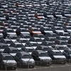 Xe ôtô mới sản xuất tại cảng Richmond, thành phố Richmond, bang California, Mỹ. (Ảnh: Getty Images/TTXVN)
