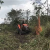 [Video] TP.HCM và Nam Bộ có nguy cơ cháy rừng cao nhất
