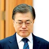 Tổng thống Hàn Quốc Moon Jae-in. (Nguồn: Yonhap)